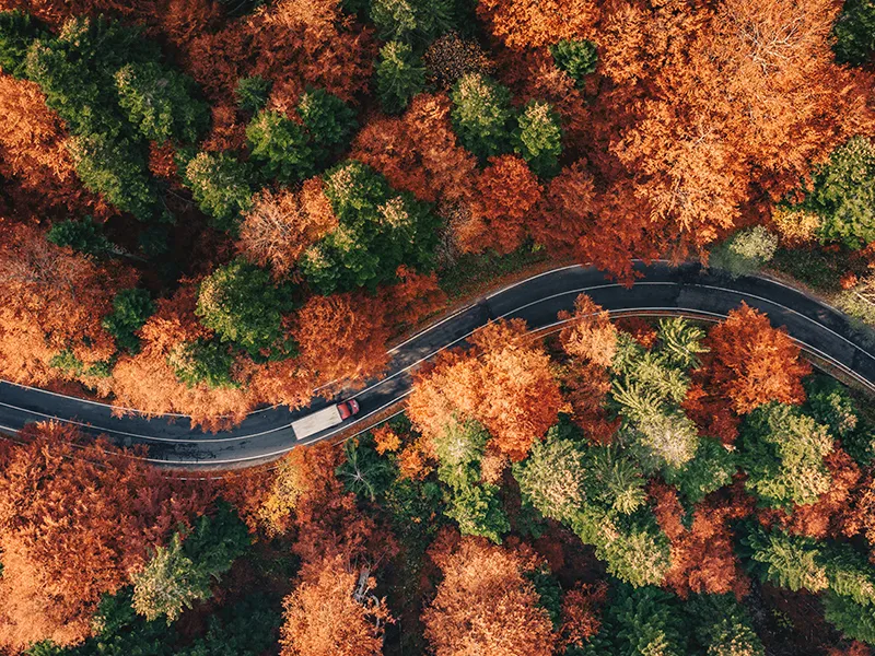 documento-di-trasporto-cmr-lettera-di-vettura